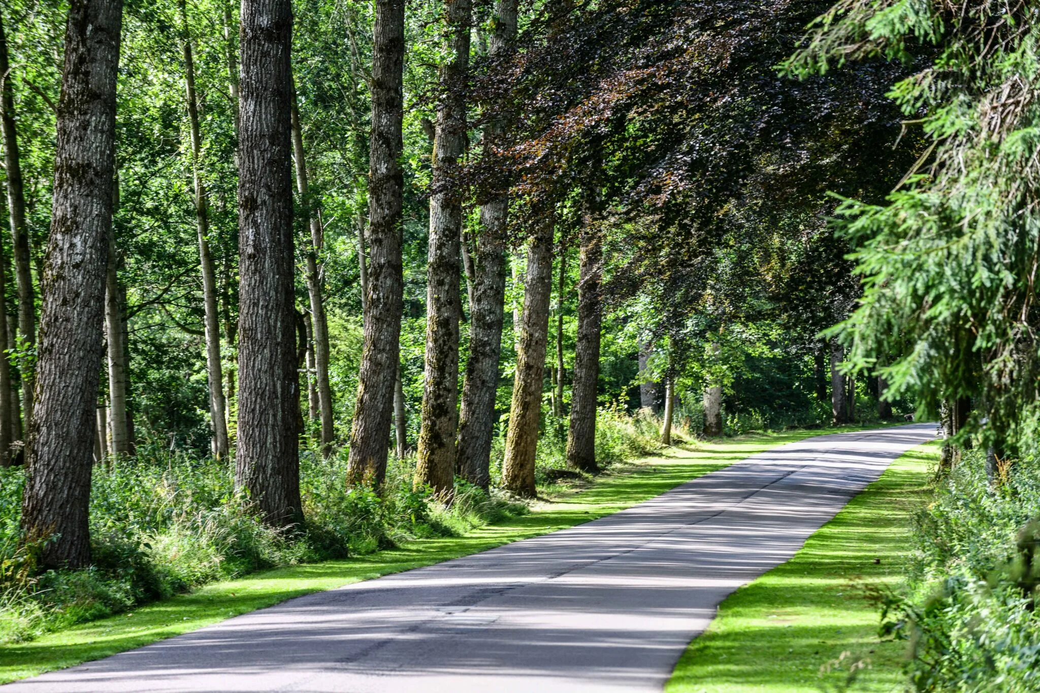 Lowther Holiday Park photo