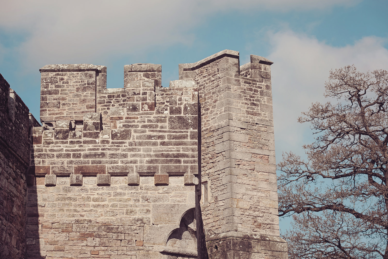 Brougham Hall photo