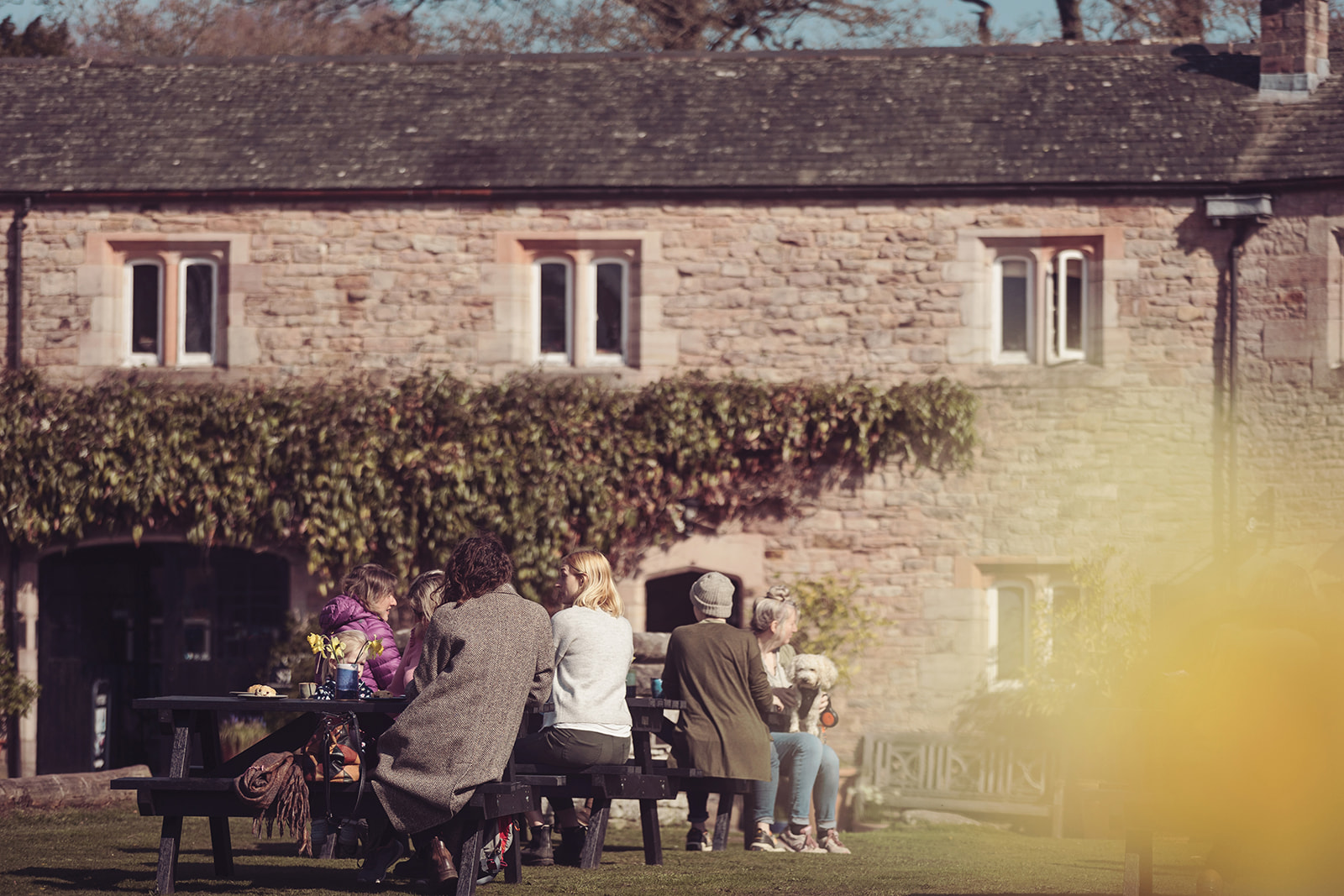 Brougham Hall photo