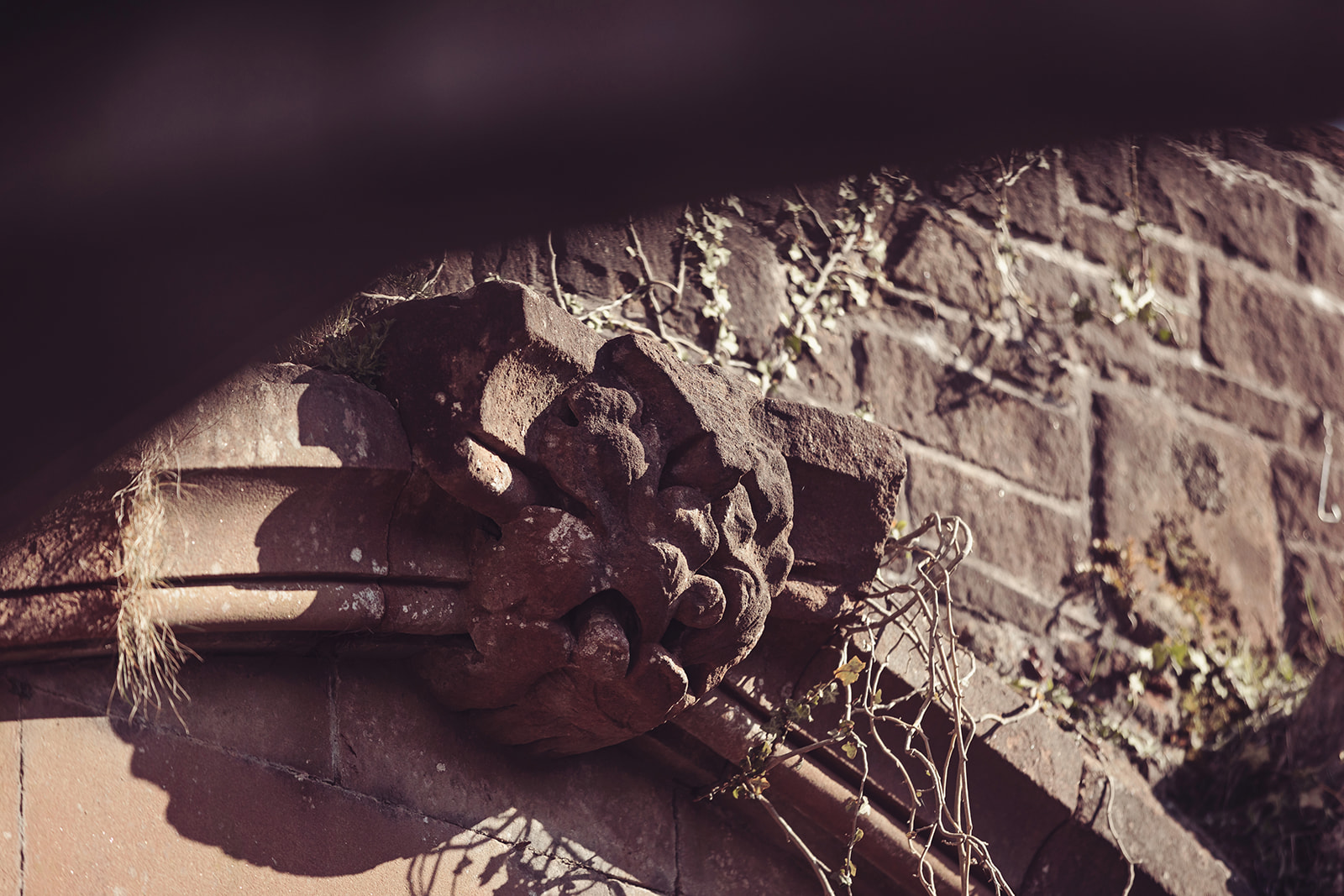 Brougham Hall photo