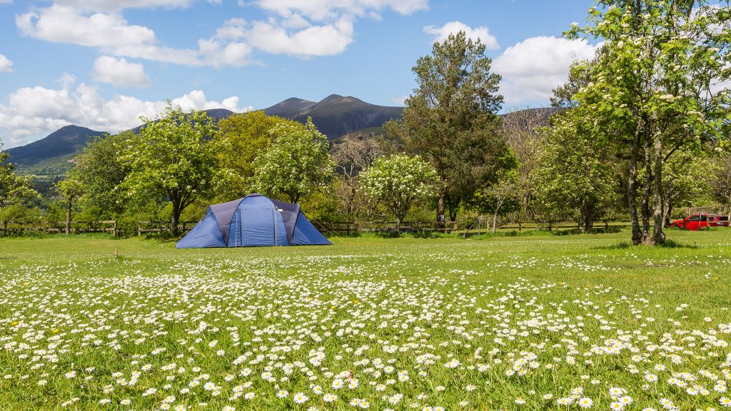 Castlerigg Hall Caravan - Camping - Glamping Park photo