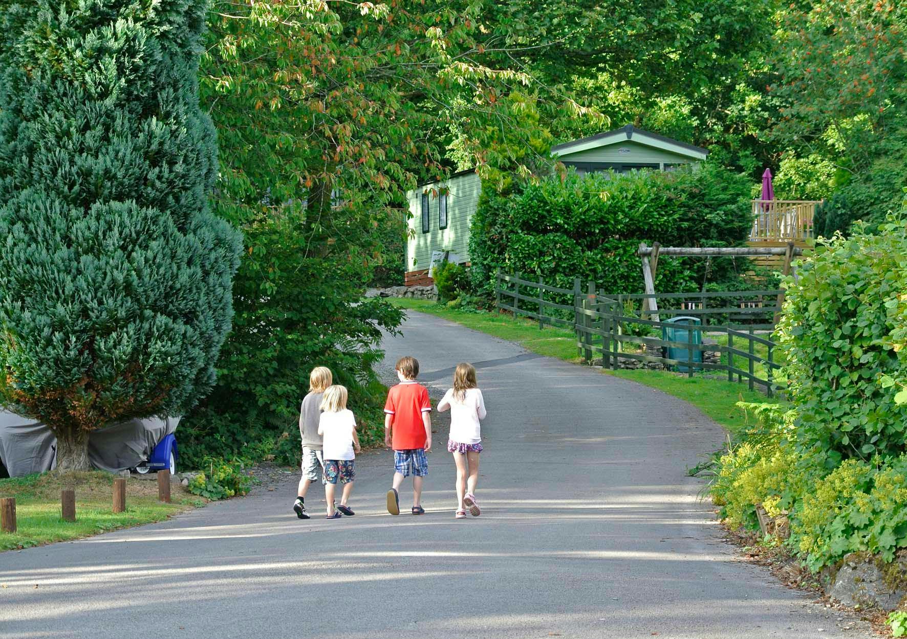 Hill of Oaks Caravan & Lodge Park photo