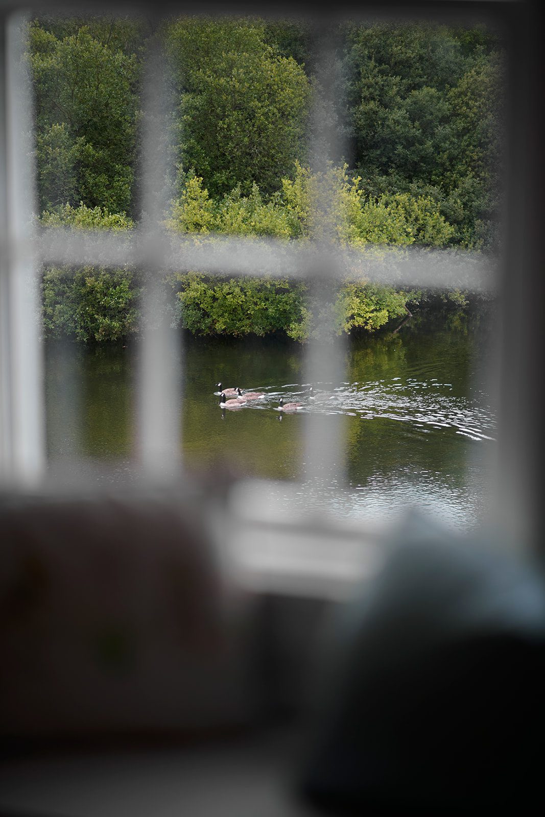The Swan Hotel & Spa photo
