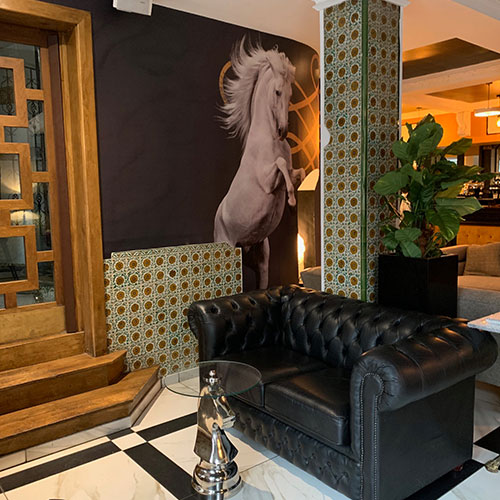 The Andalusian photo