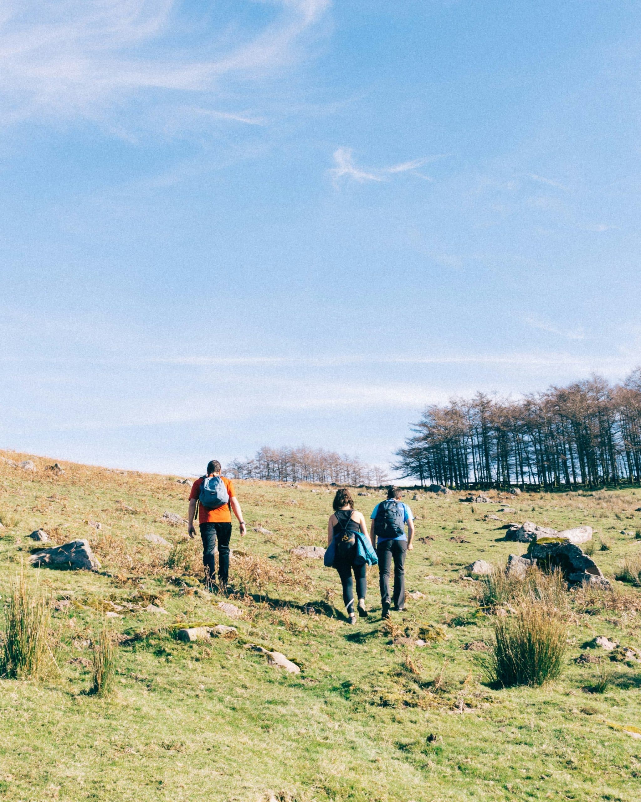 Ullswater Holiday Park photo