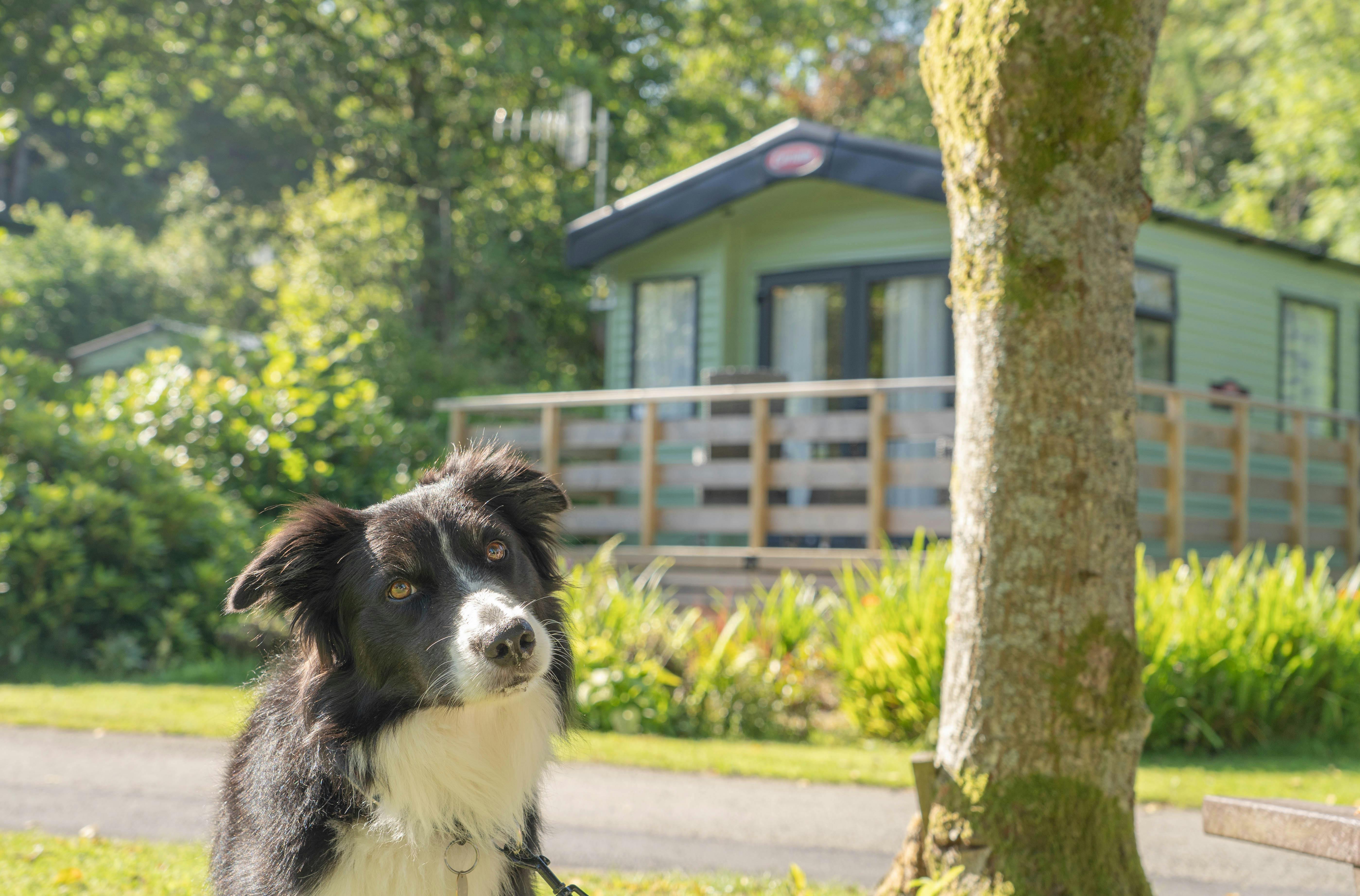 Newby Bridge Caravan Park photo