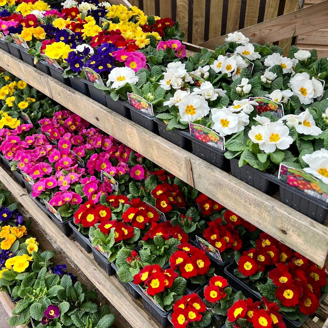 Keelham farm shop Skipton photo