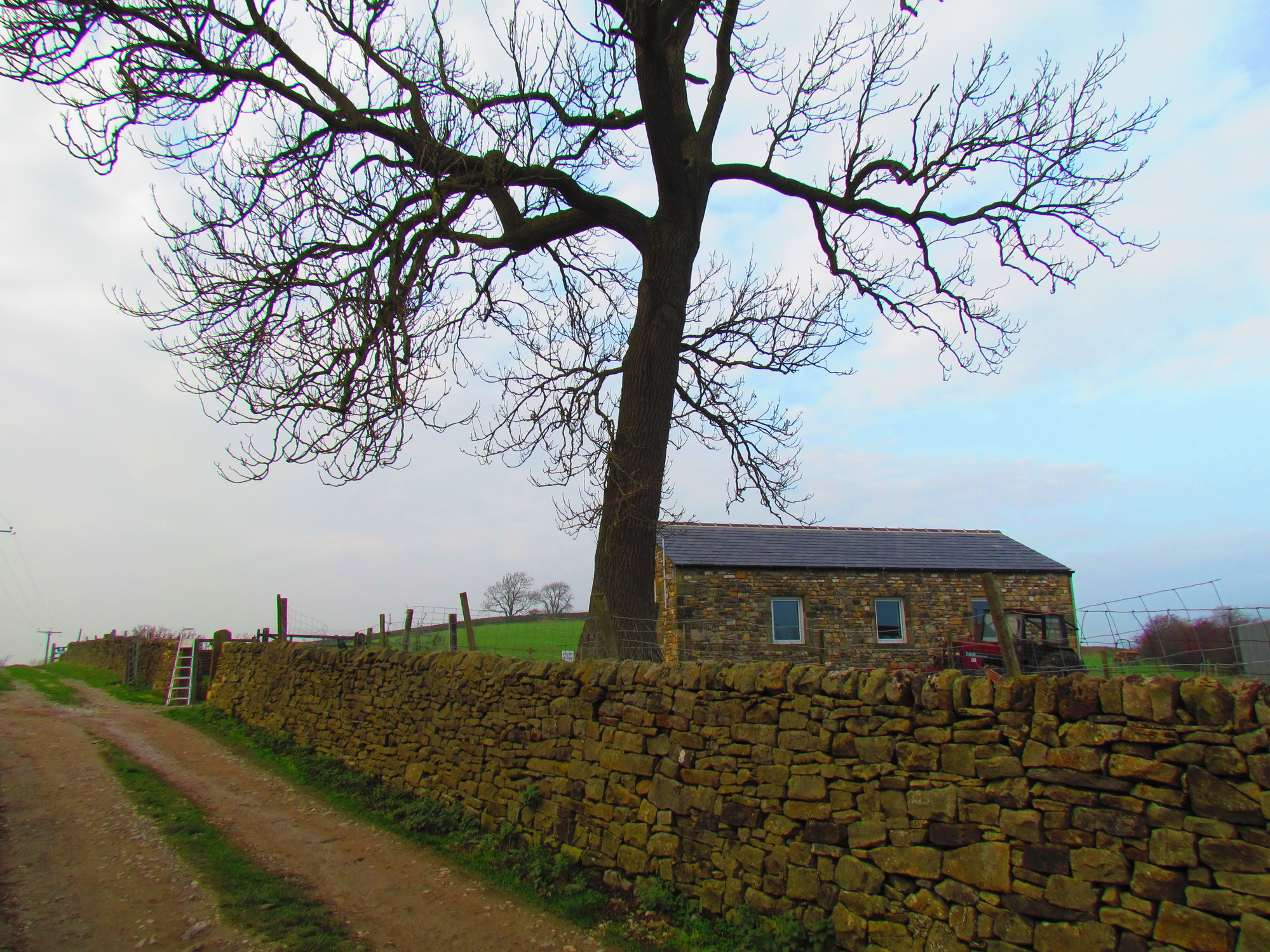 Niffany Farm Caravan & Camping photo