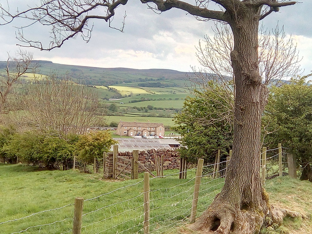 Niffany Farm Caravan & Camping photo
