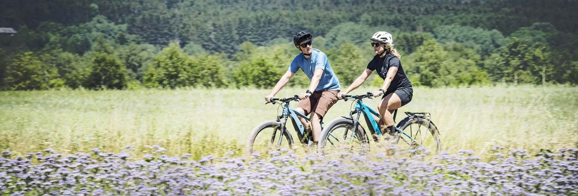 3 Peaks Cycles & Cafe photo