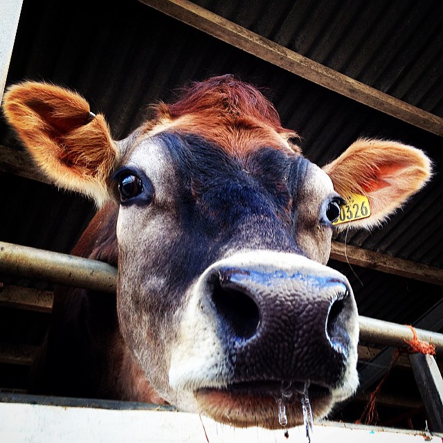 Farmer Parrs Animal World, Fleetwood, photo