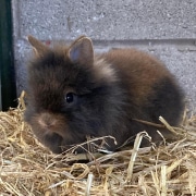 Farmer Parrs Animal World, Fleetwood, photo