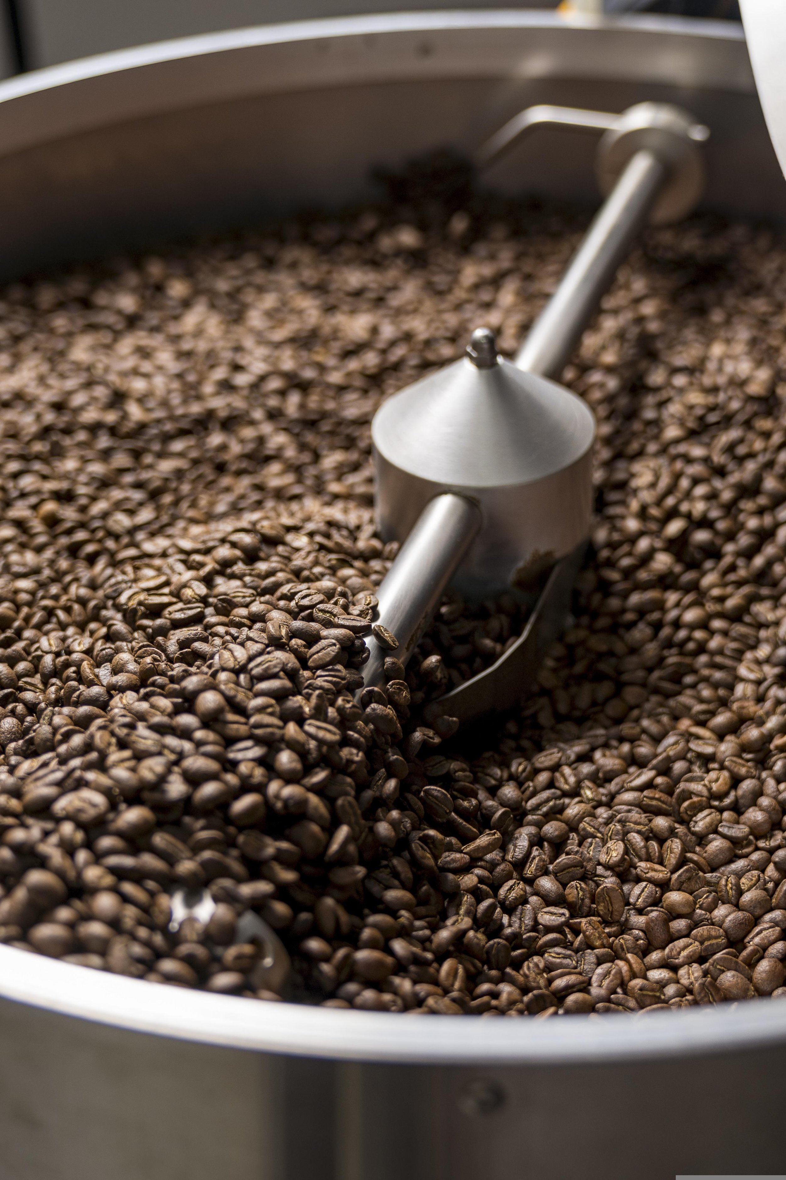 Scoundrels Coffee Co. photo