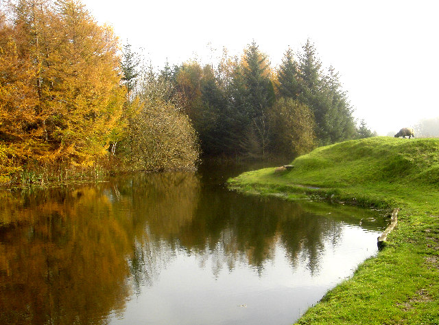 Hall More Fishery photo