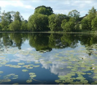 Hall More Fishery photo